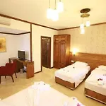 Hotel Orcey 3*