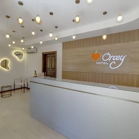 Отель Orcey 3*