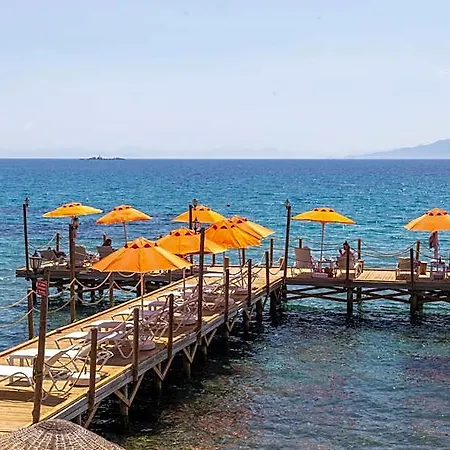 Hotel Orcey 3*