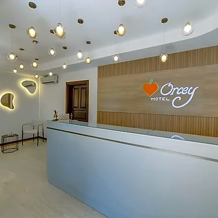 Orcey
