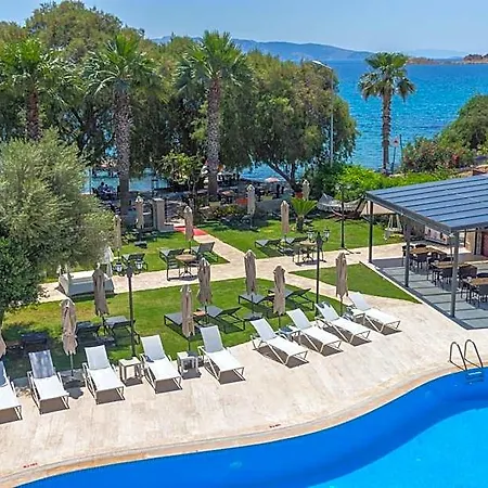 Hotel Orcey